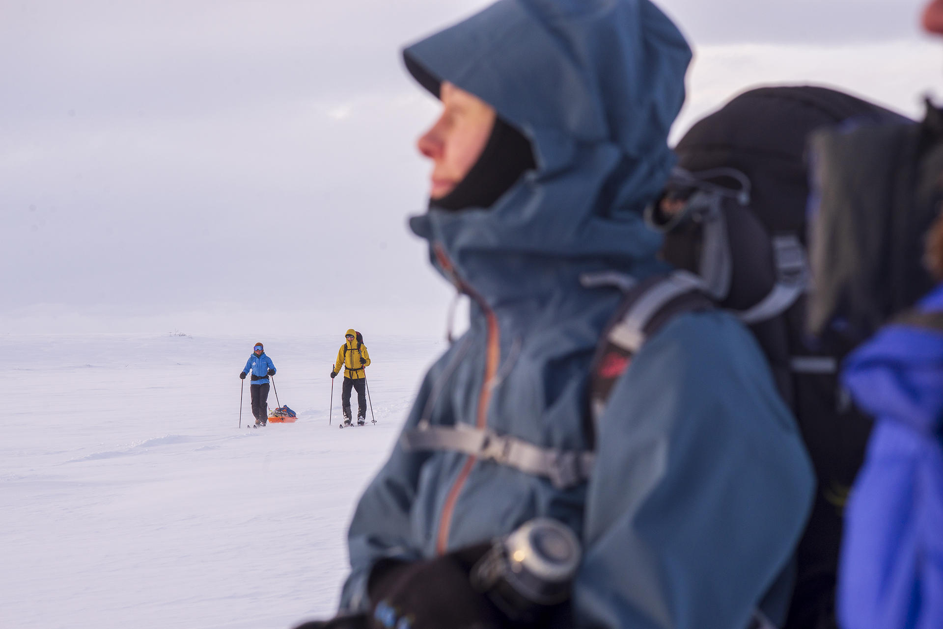 Finnmarksvidda p&aring; Ski@J&oslash;rnAreLongfjeld(31)