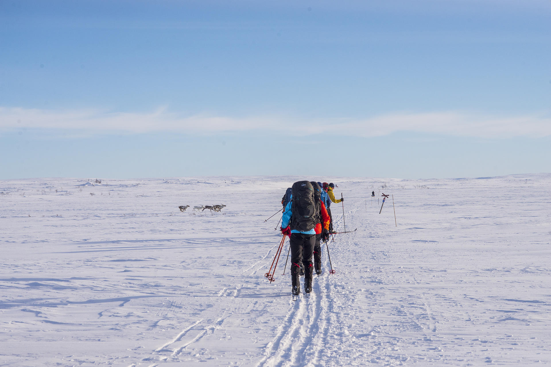 Finnmarksvidda p&aring; Ski@J&oslash;rnAreLongfjeld(36)