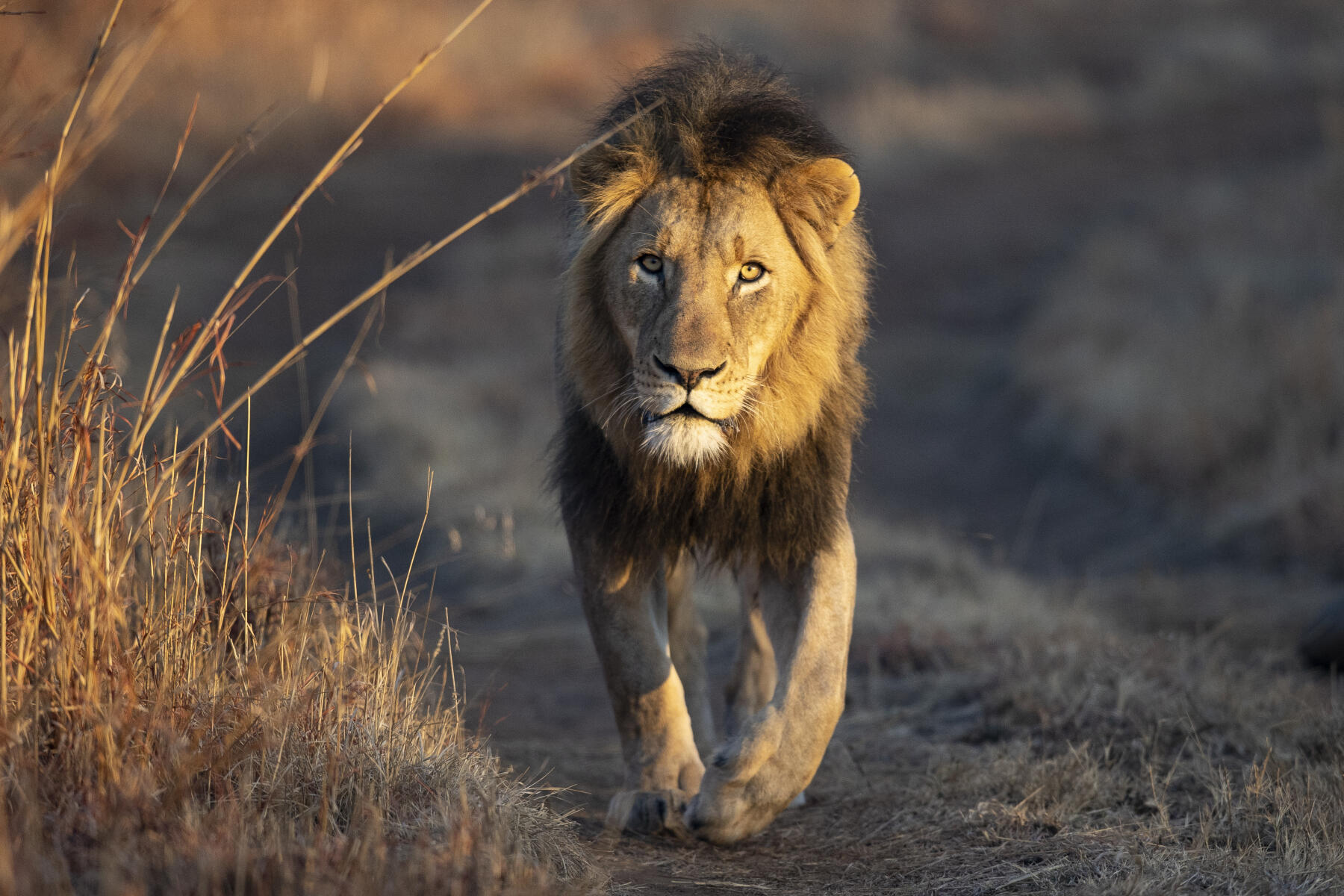 South Africa-2024@GetAfricaTravel (50)