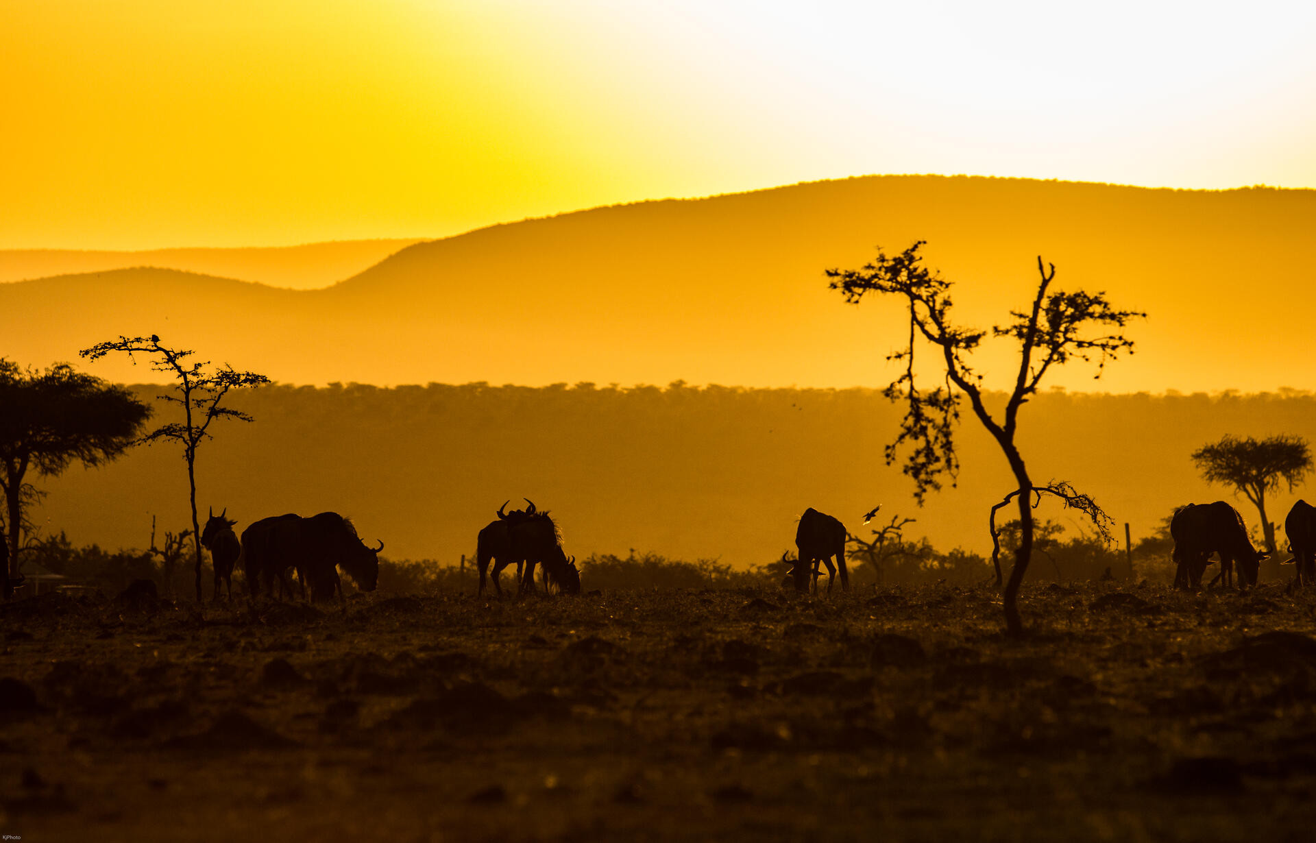 Kilimanjaro-2017@LarsPetterJonassen (2)
