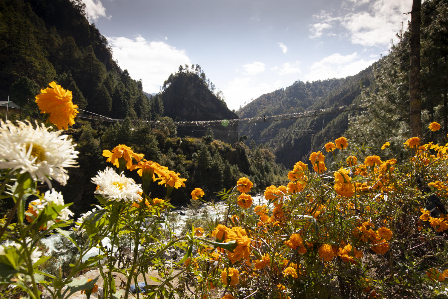 Bjorn Stange Ankre Photography