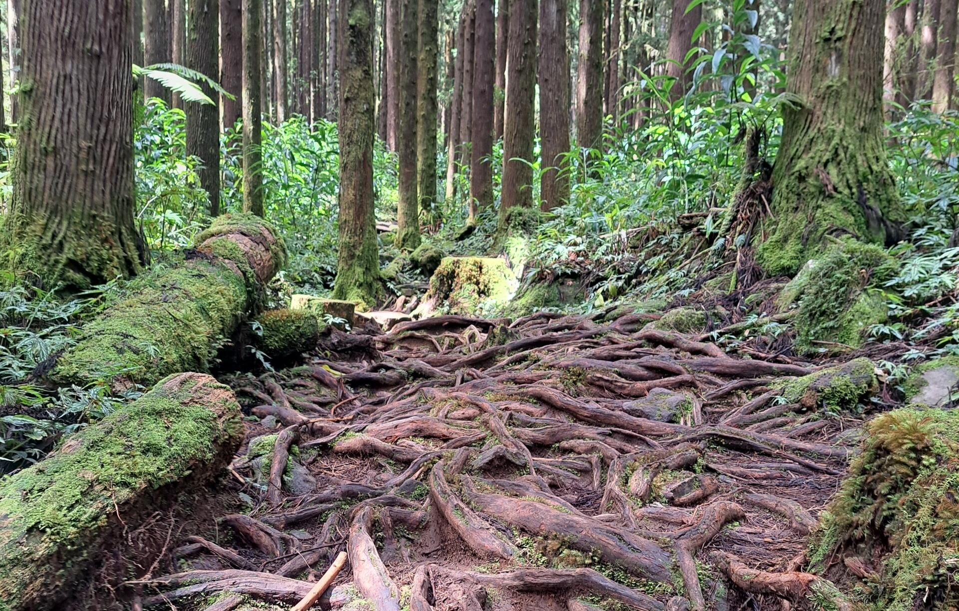 Reunion-2024@HanneHoll&aring;s (10)