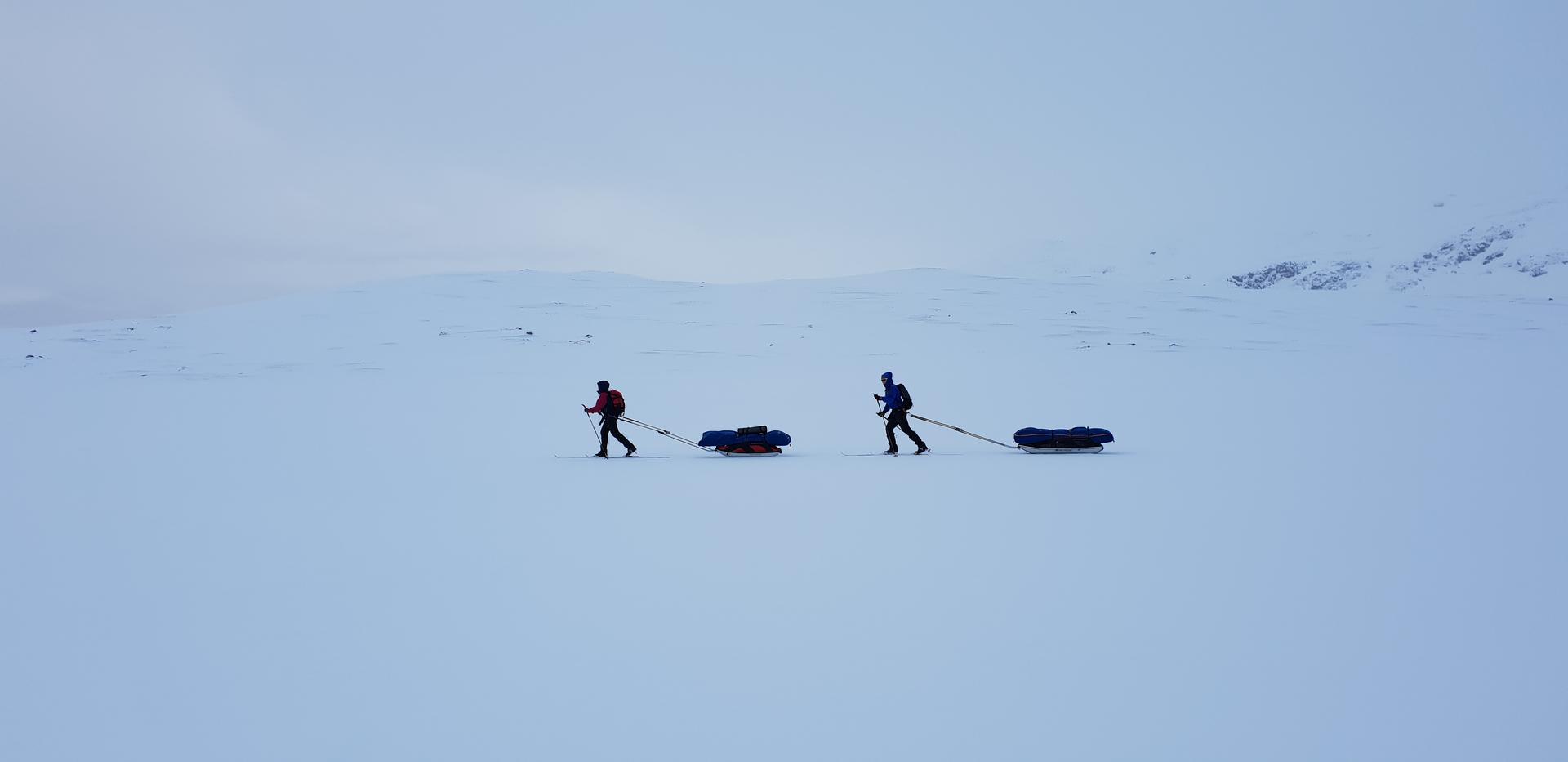 Norge på Tvers@EliseKoren(3)