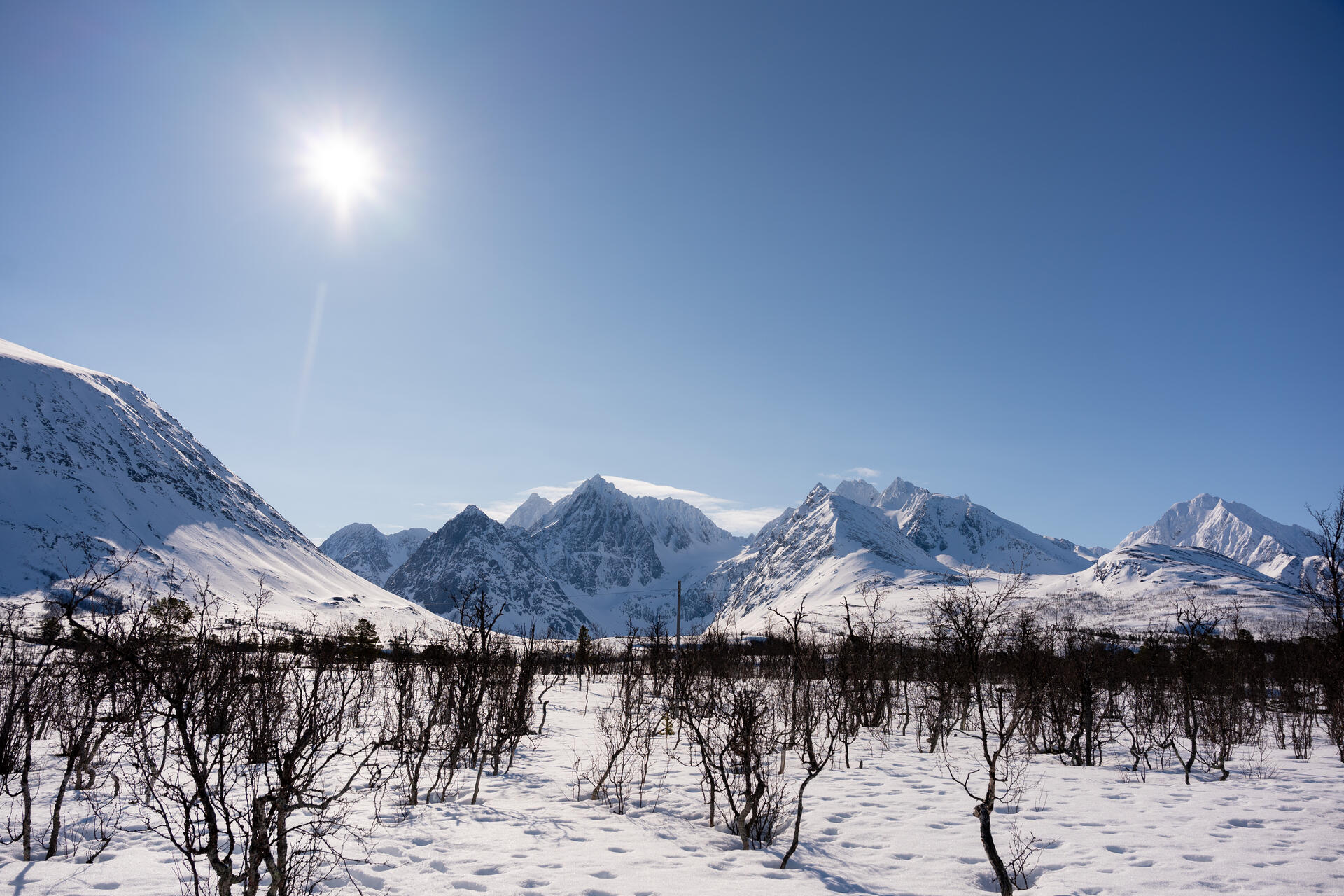 Norr&oslash;na_Hvitserk_@dinarindsem-12