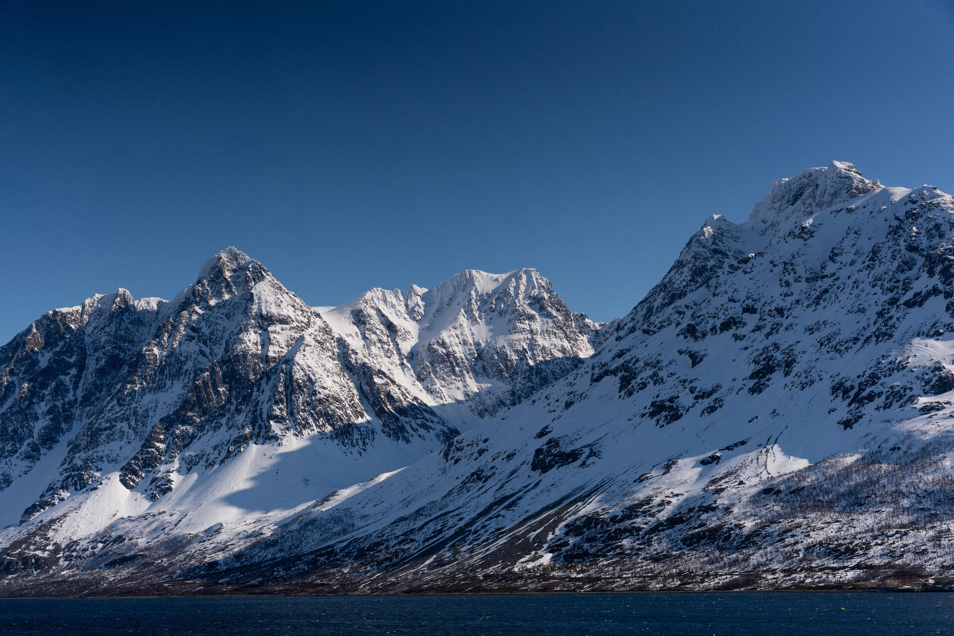 Norr&oslash;na_Hvitserk_@dinarindsem-243