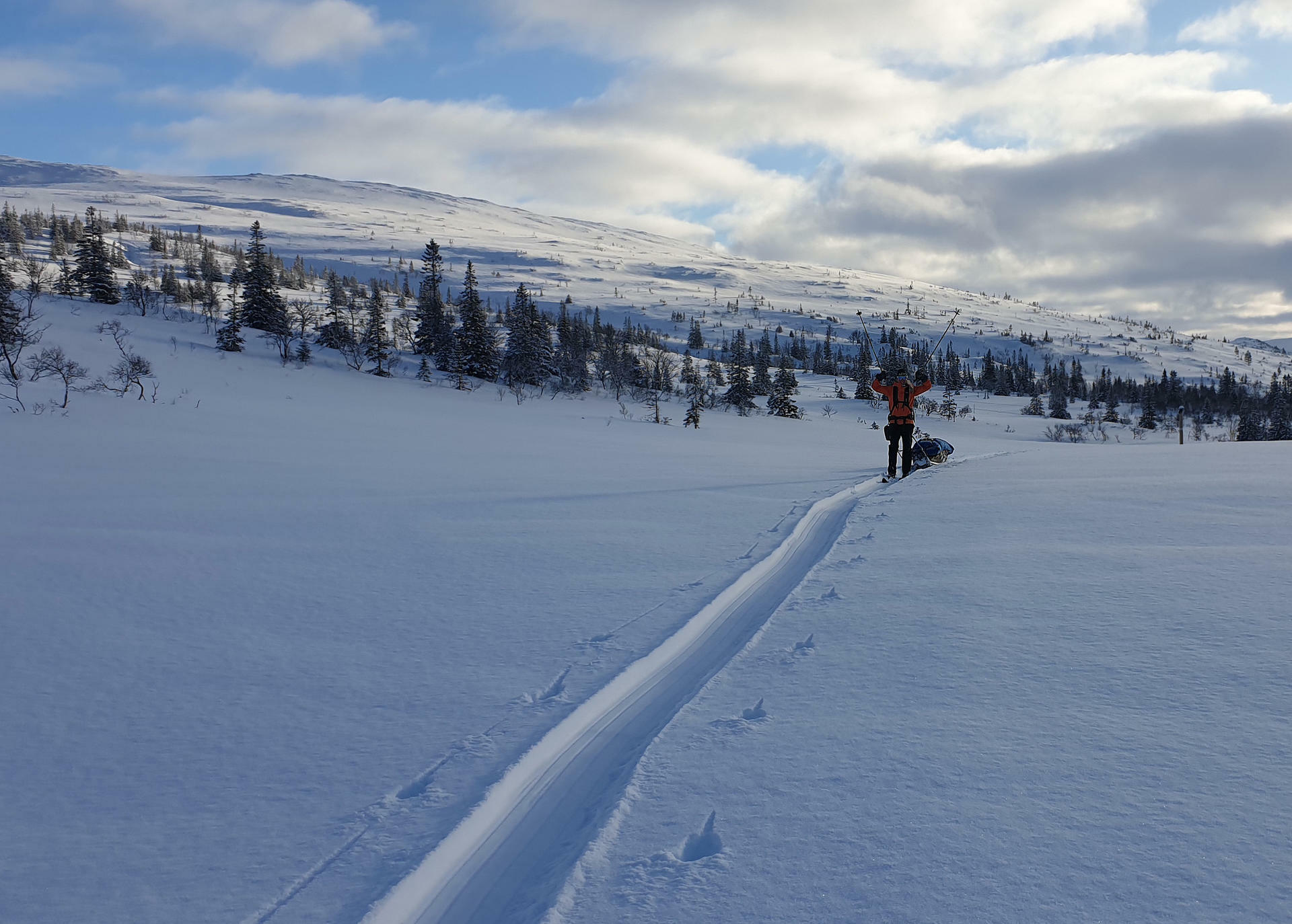 Norge på Tvers@EliseKoren(40)