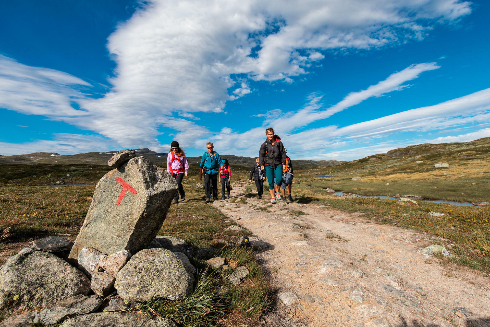 Trolltunga Preikestolen and Kjerag-2018@ThorHUlstad  (55)