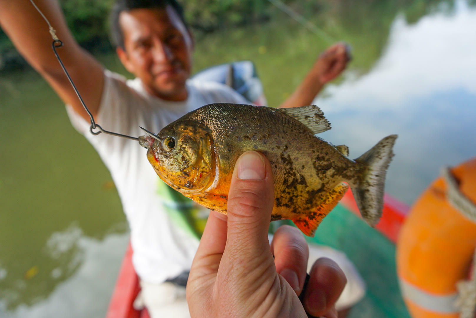 EcuadorGalapagos-2018@RasmusRamstad (39)