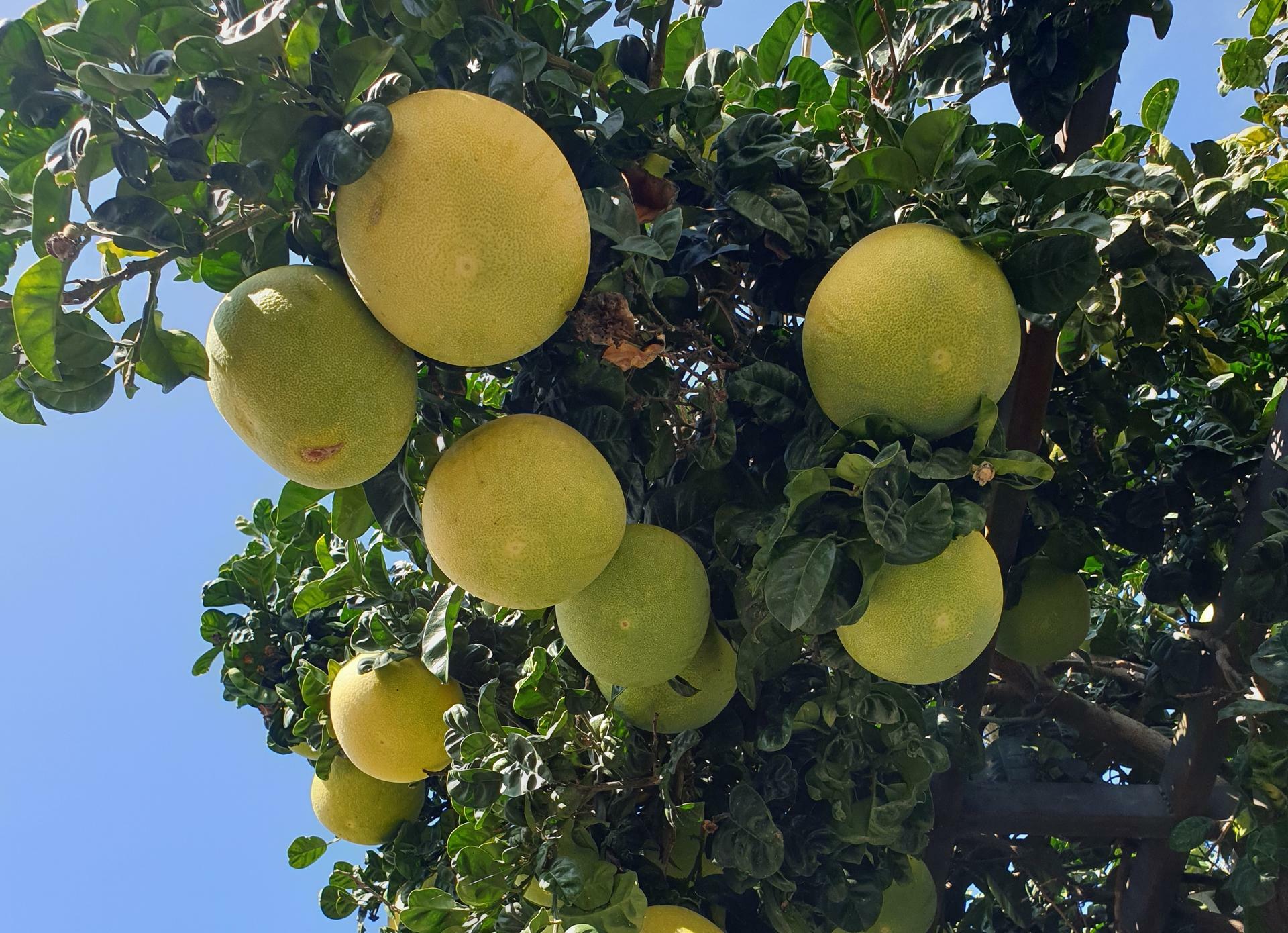 CapriAmalfi-2022@EliseKoren (89A)