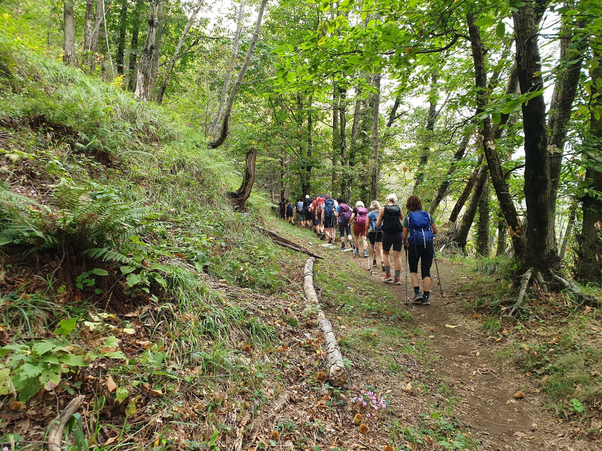 CapriAmalfi-2022@EliseKoren (80)