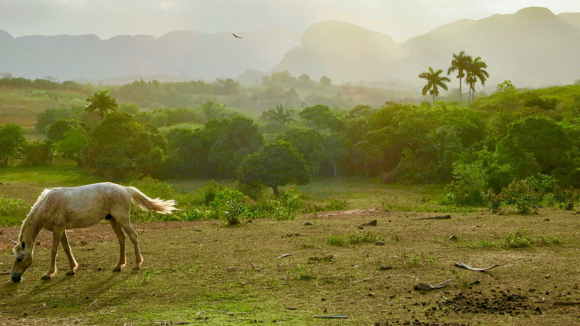 Cuba-2017@MariaSellfors-7