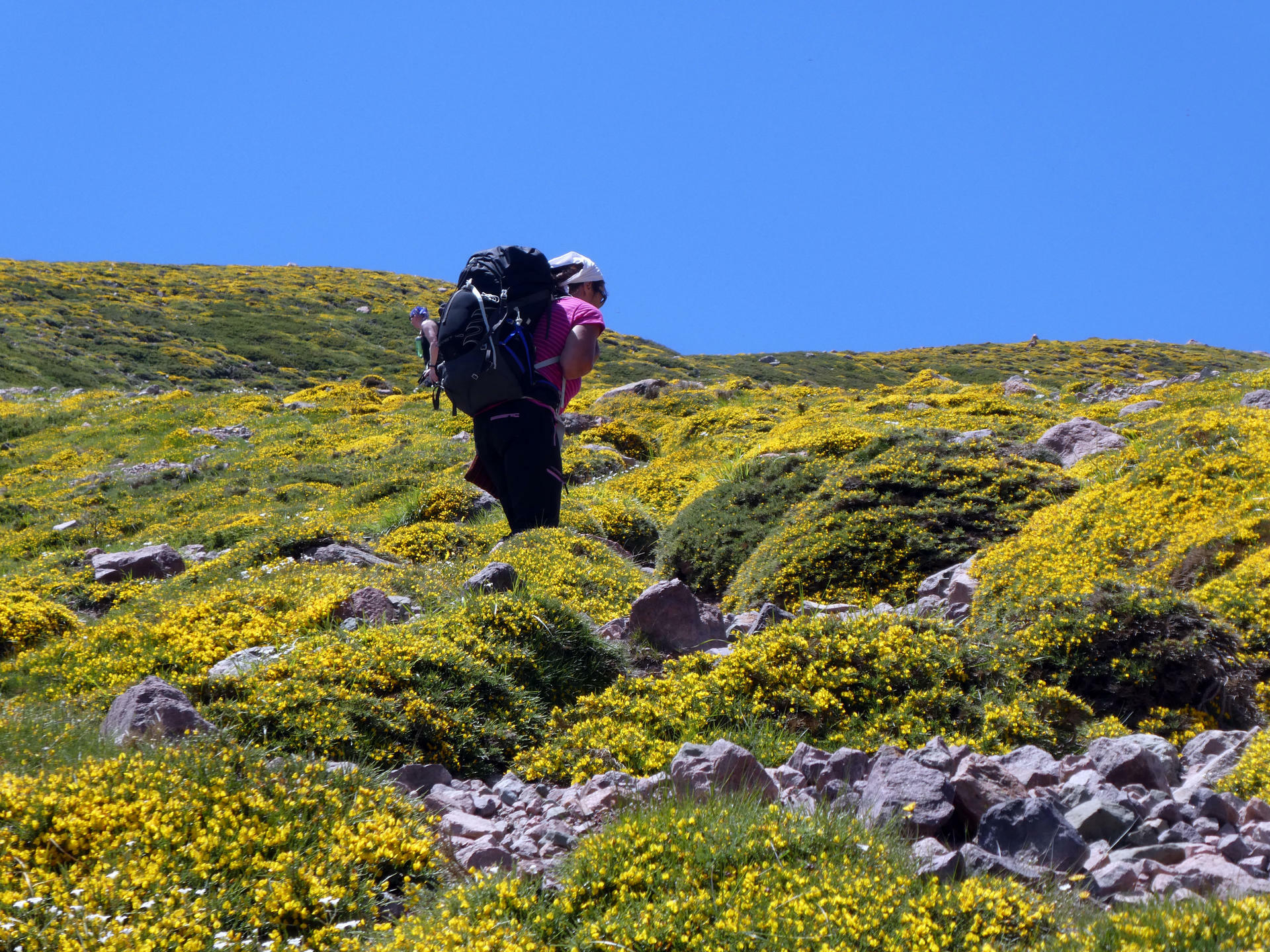 Korsika-2017@Hanne Holl&aring;s (17)