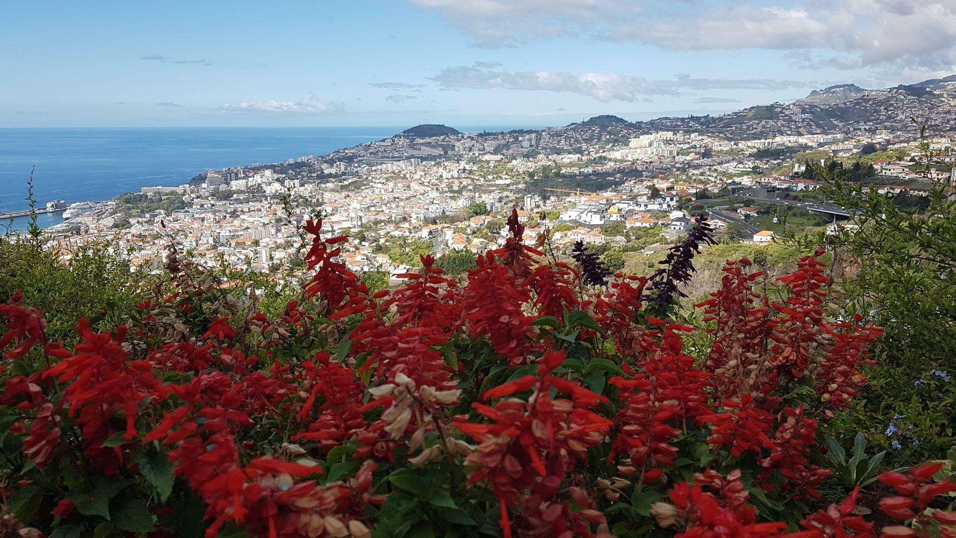 Madeira-2022@HanneHollås (41)