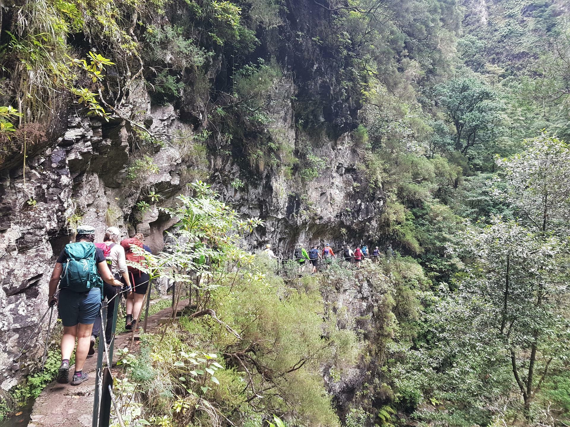 Madeira-2022@HanneHollås (83)