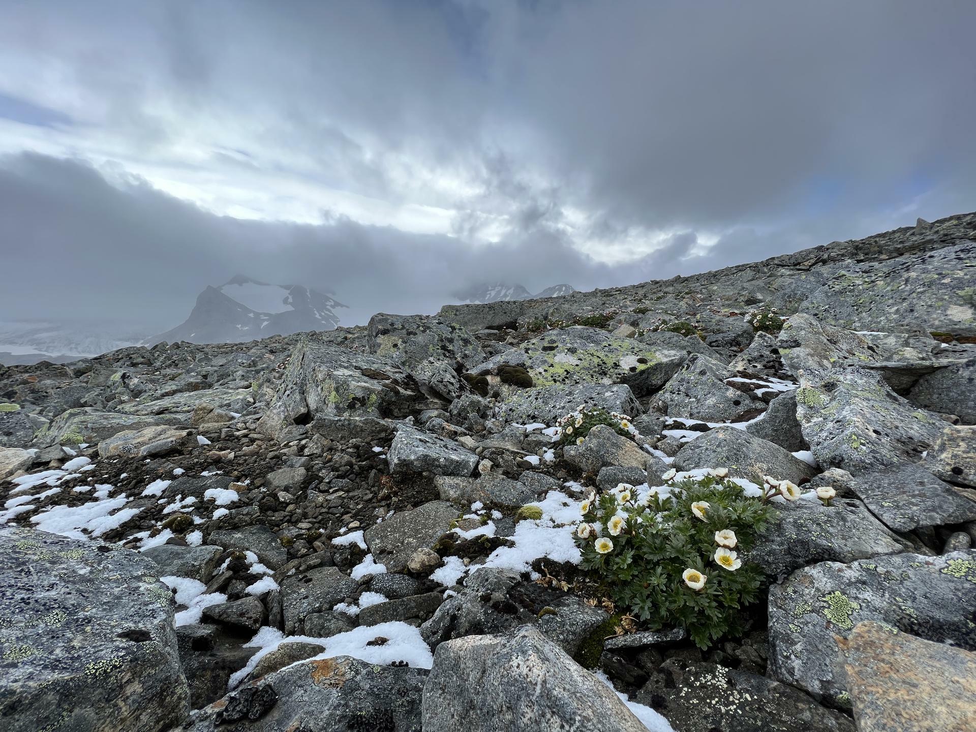 SevenSummitsNorway-2022@MagnusHendis (2)