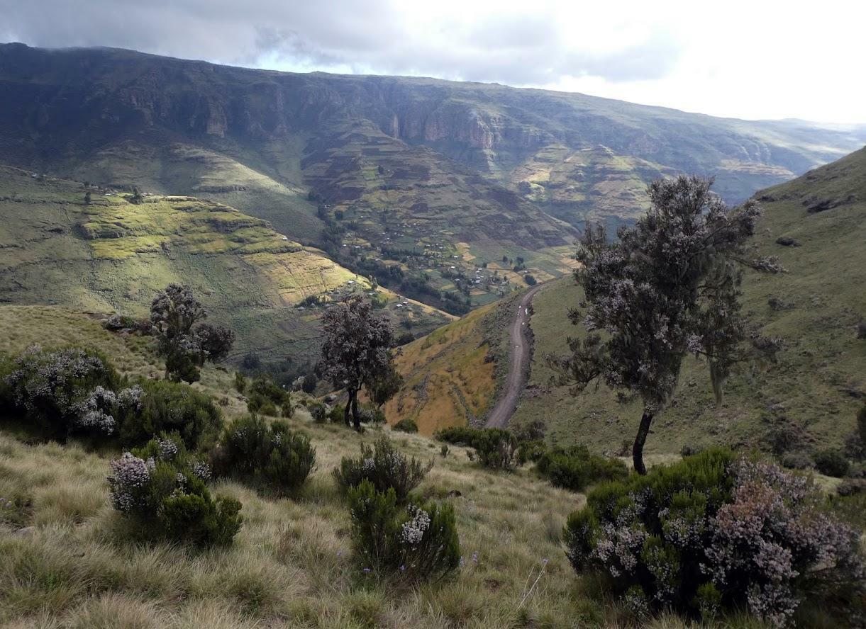 Hanne Holl&aring;s - 2019 - Fottur i Simienfjellene (23)