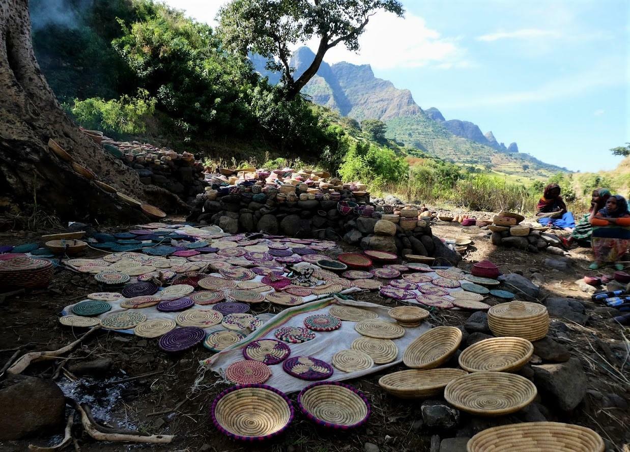 Hanne Holl&aring;s - 2019 - Fottur i Simienfjellene (36)