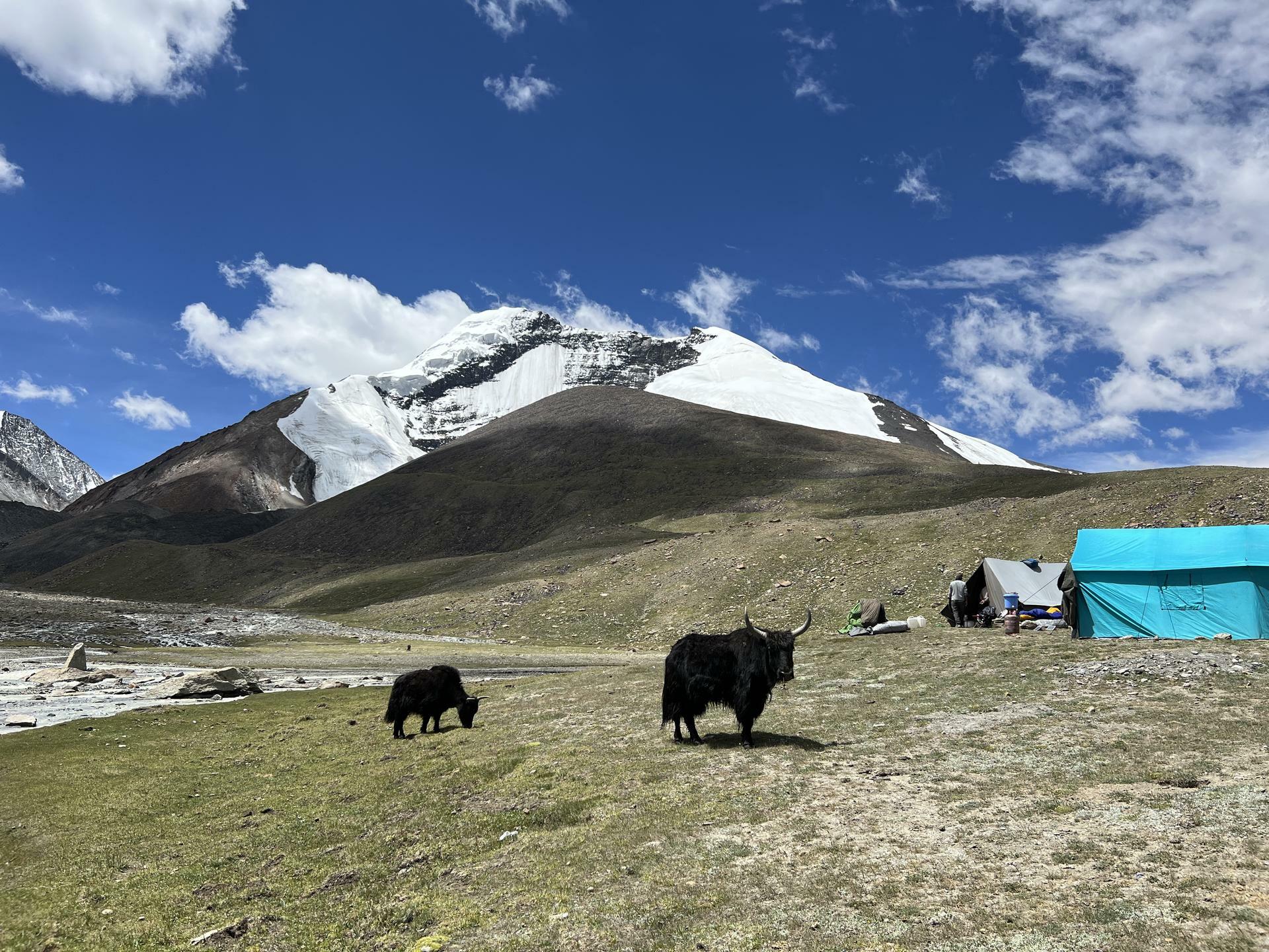 KangYatzeII-2022@MagnusHendis (144)