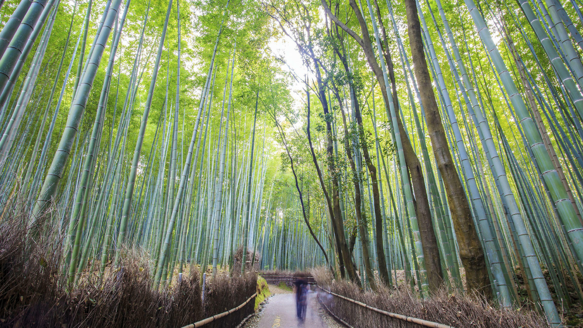 FjellturJapan-2014@Istock505367407