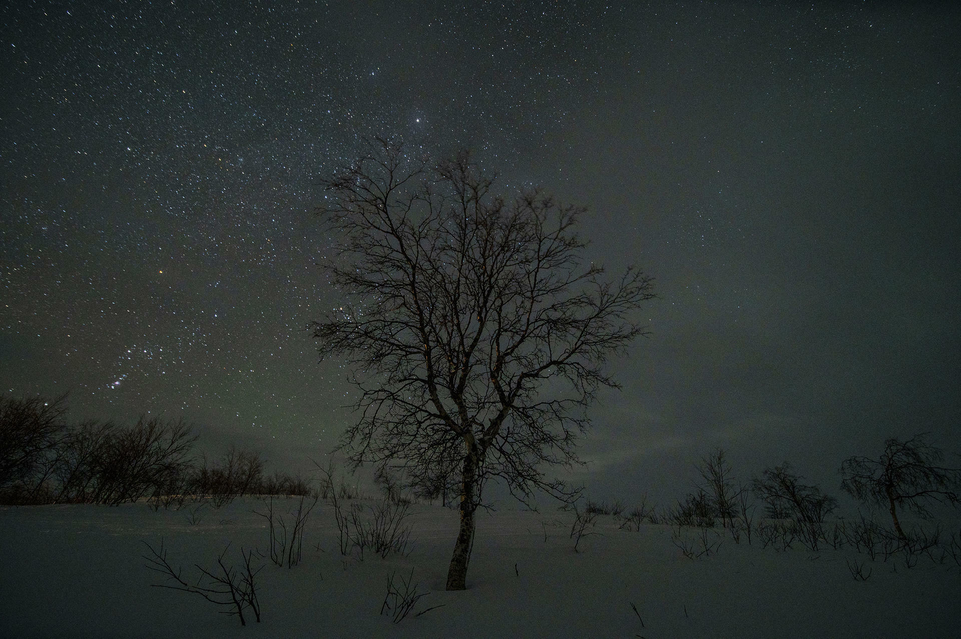 Finnmarksvidda p&aring; Ski@J&oslash;rnAreLongfjeld(11)