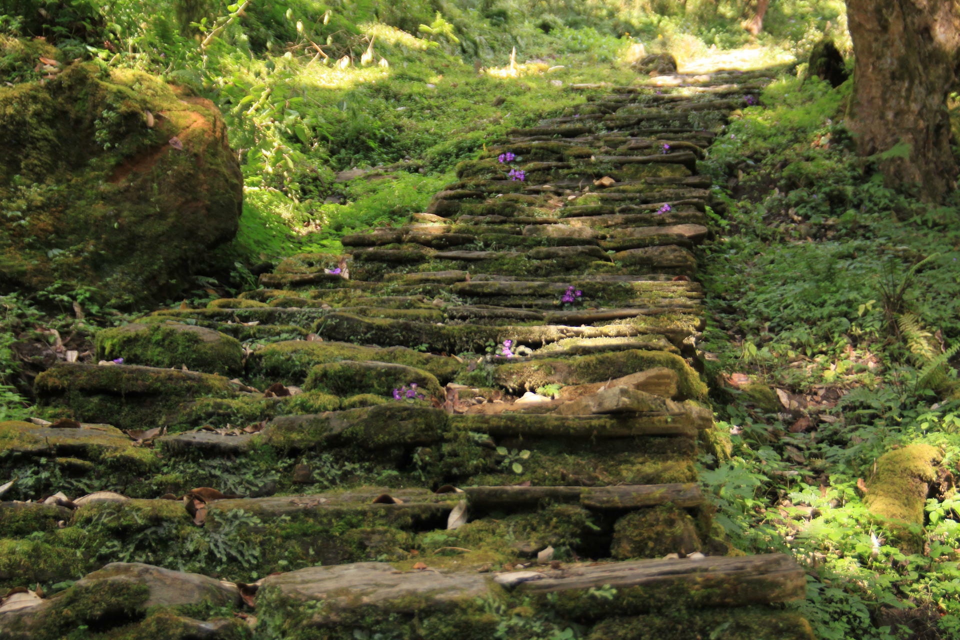 Annapurna-2011@ThorElvebakk (8)