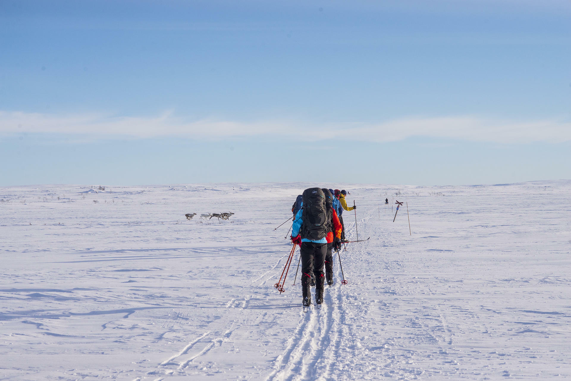Finnmarksvidda p&aring; Ski@J&oslash;rnAreLongfjeld(36)