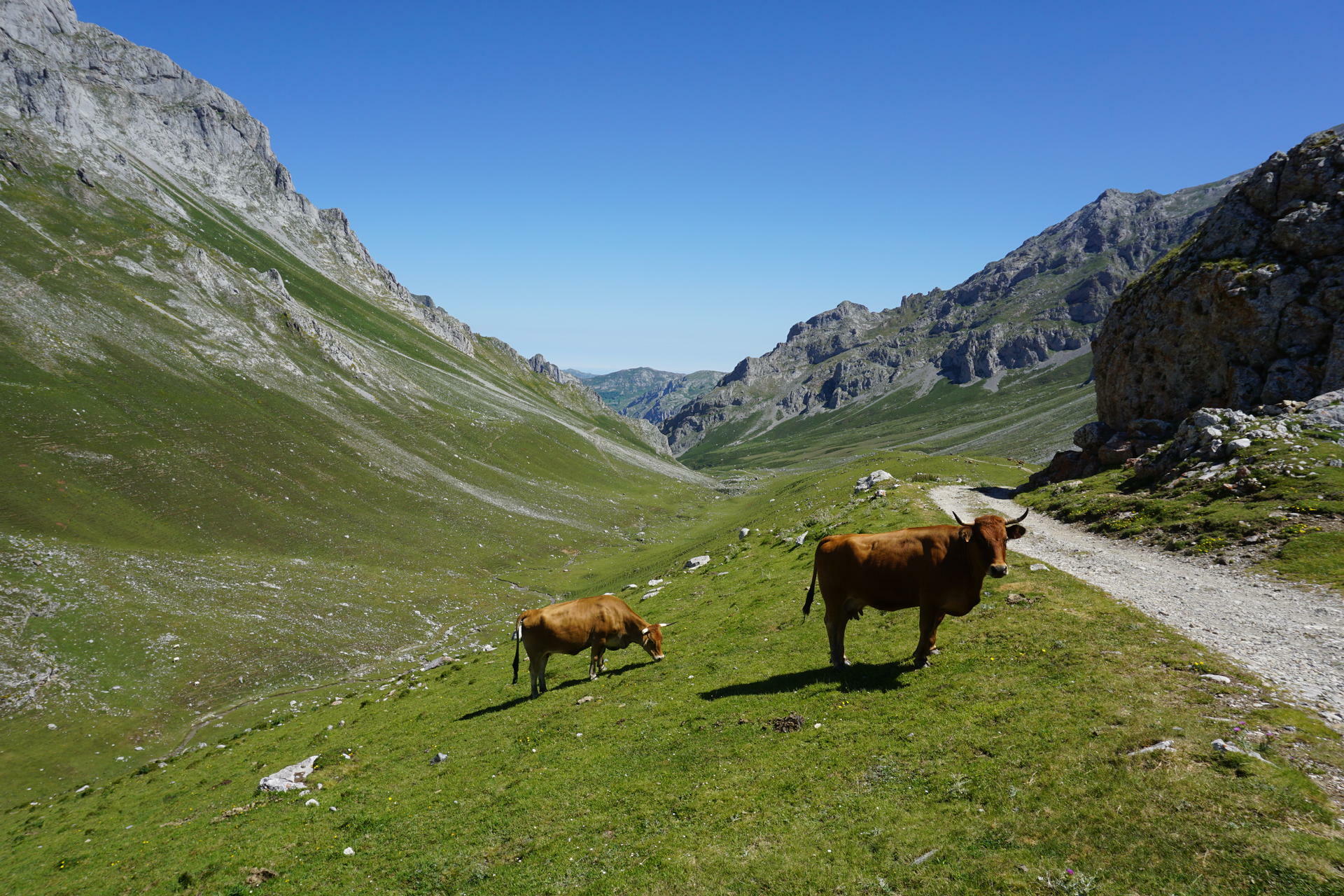 PicosdeEuropa-2020@S-Cape (1)