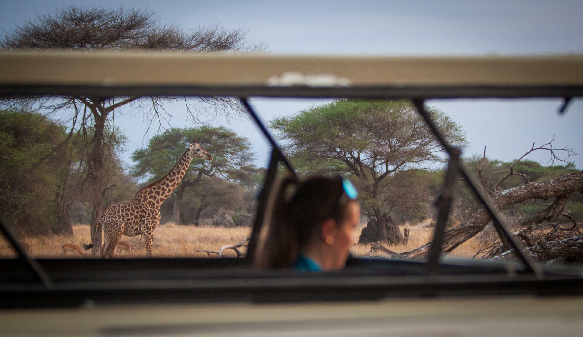 Tarangire-Safari-2023@MagnusHendis (41)