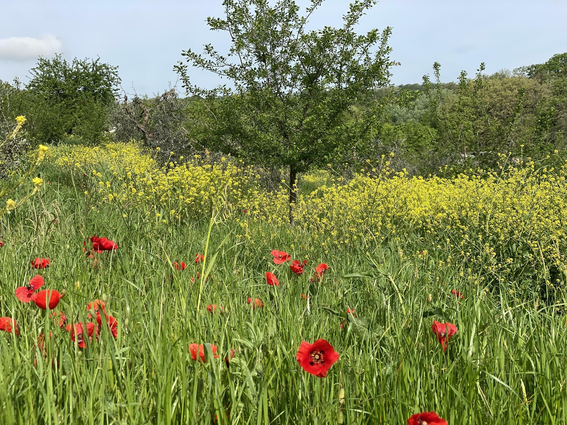 Toscana-2023@IngerHill&oslash;ySolheim (35)