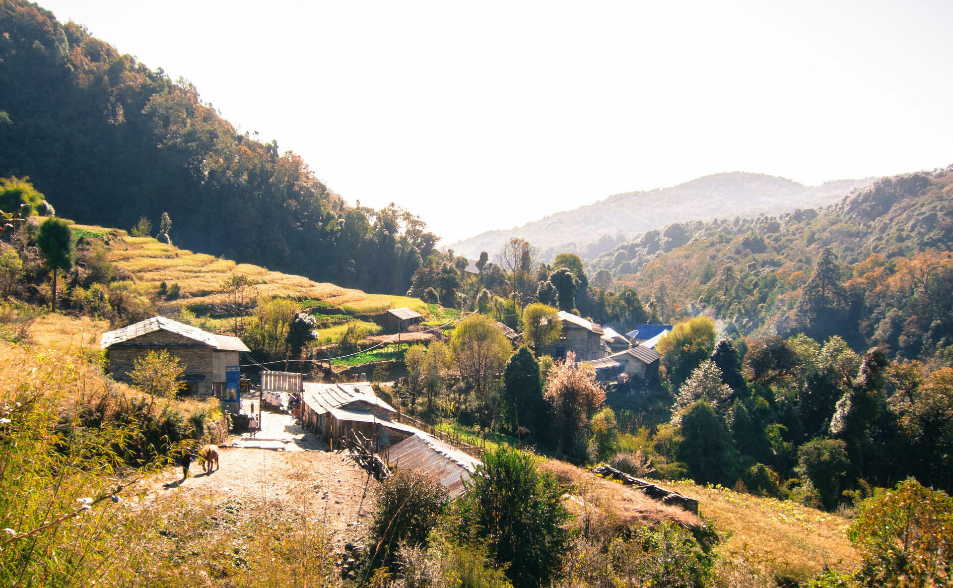 Annapurna-2012@MagnusHendis (8)