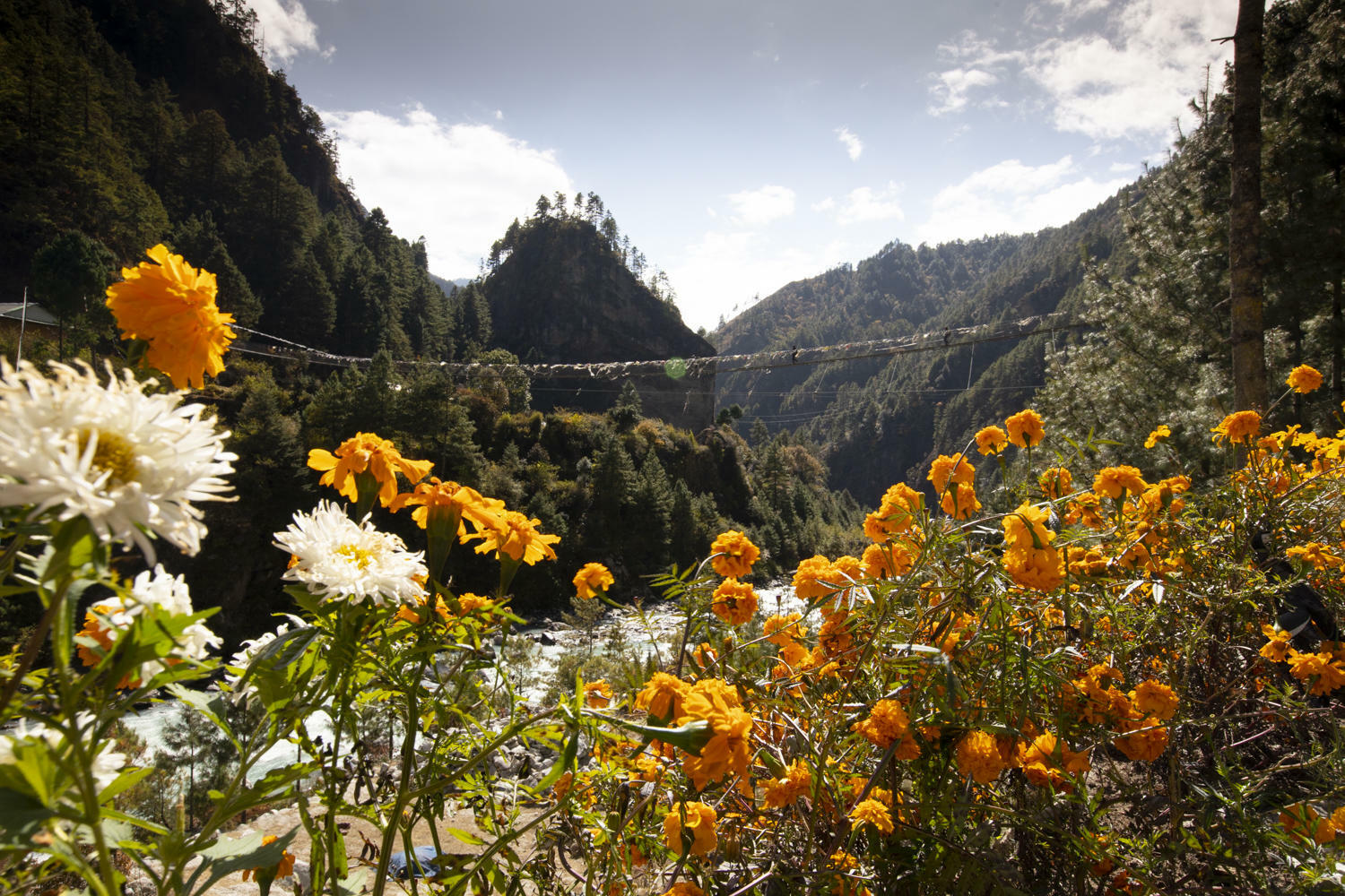 Bjorn Stange Ankre Photography