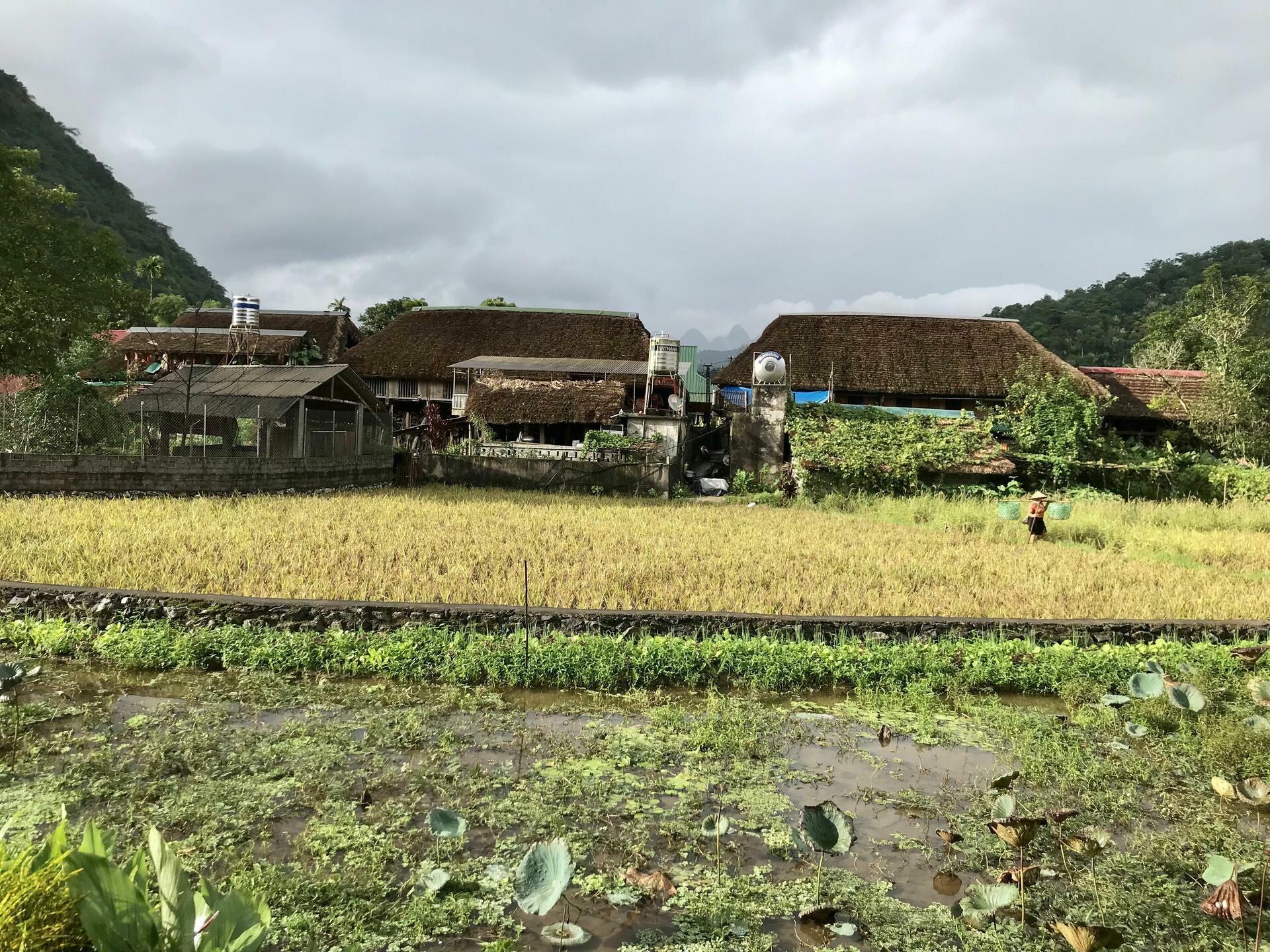 VietnamTrek-2024@MikeHolley (4)