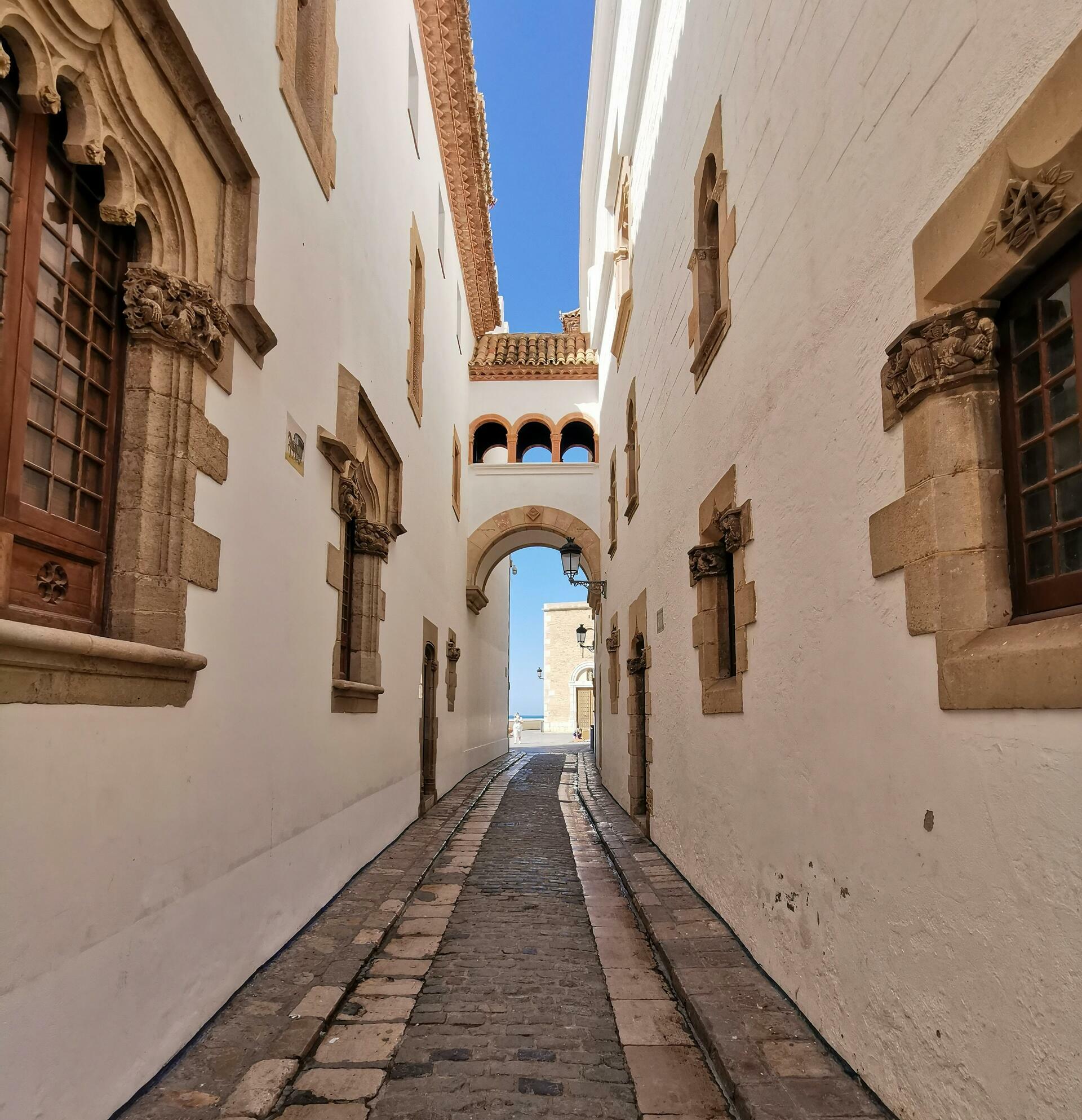 Pyreneene-2025@dorian-d1-unsplash