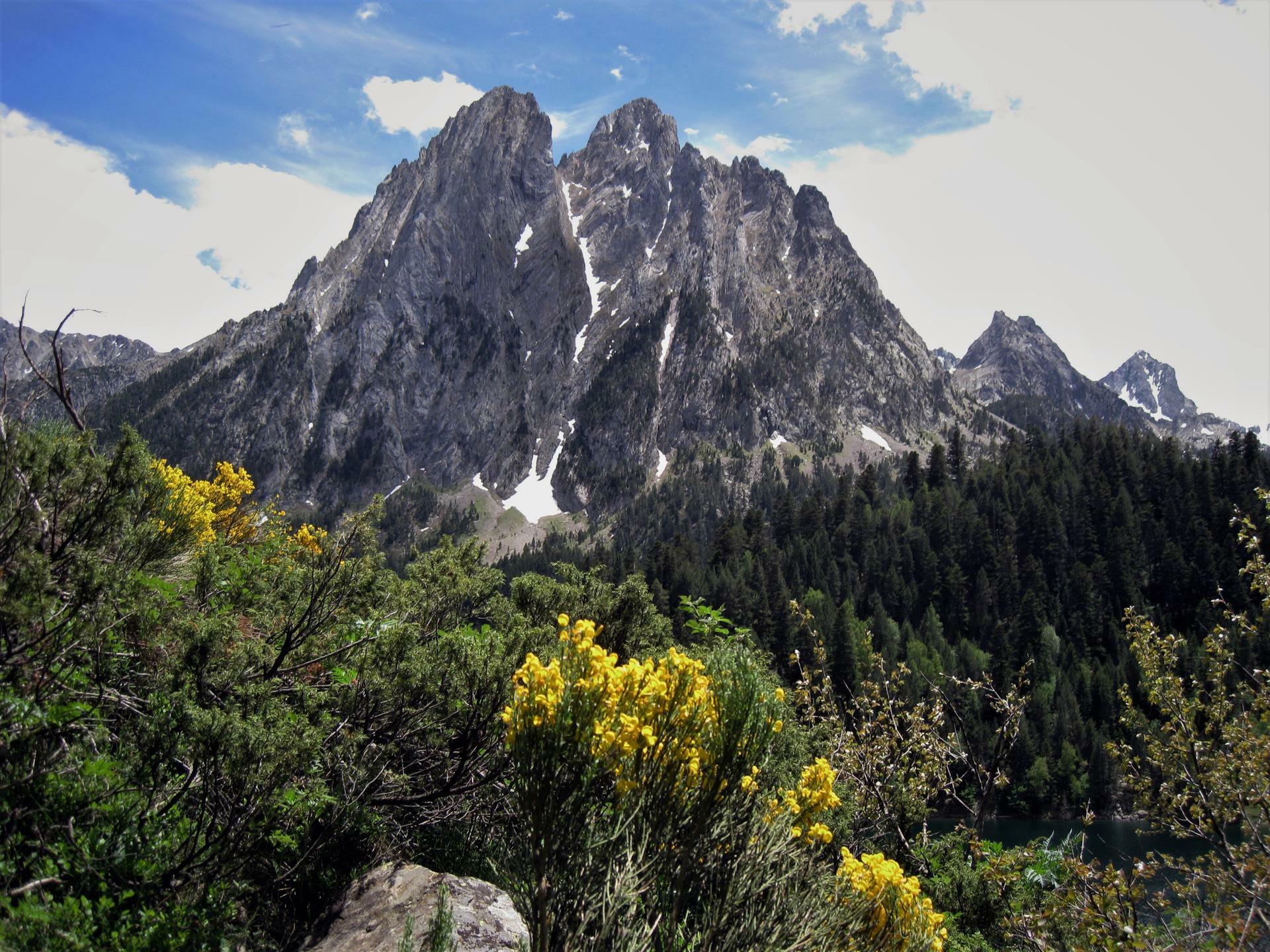 Pyreneene-2016@HanneHoll&aring;s (29)