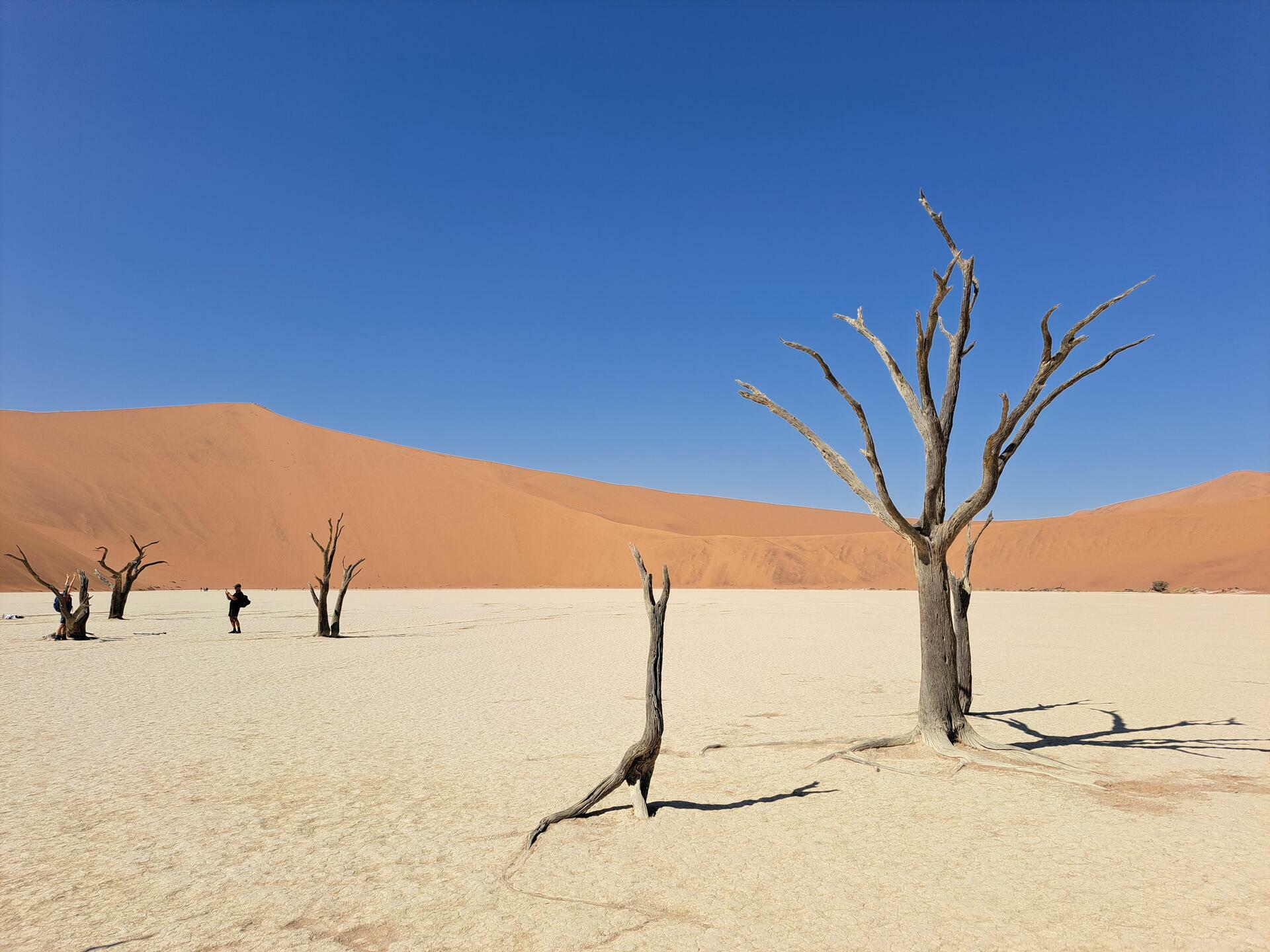 Namibia-2024@HanneHoll&aring;s (55)