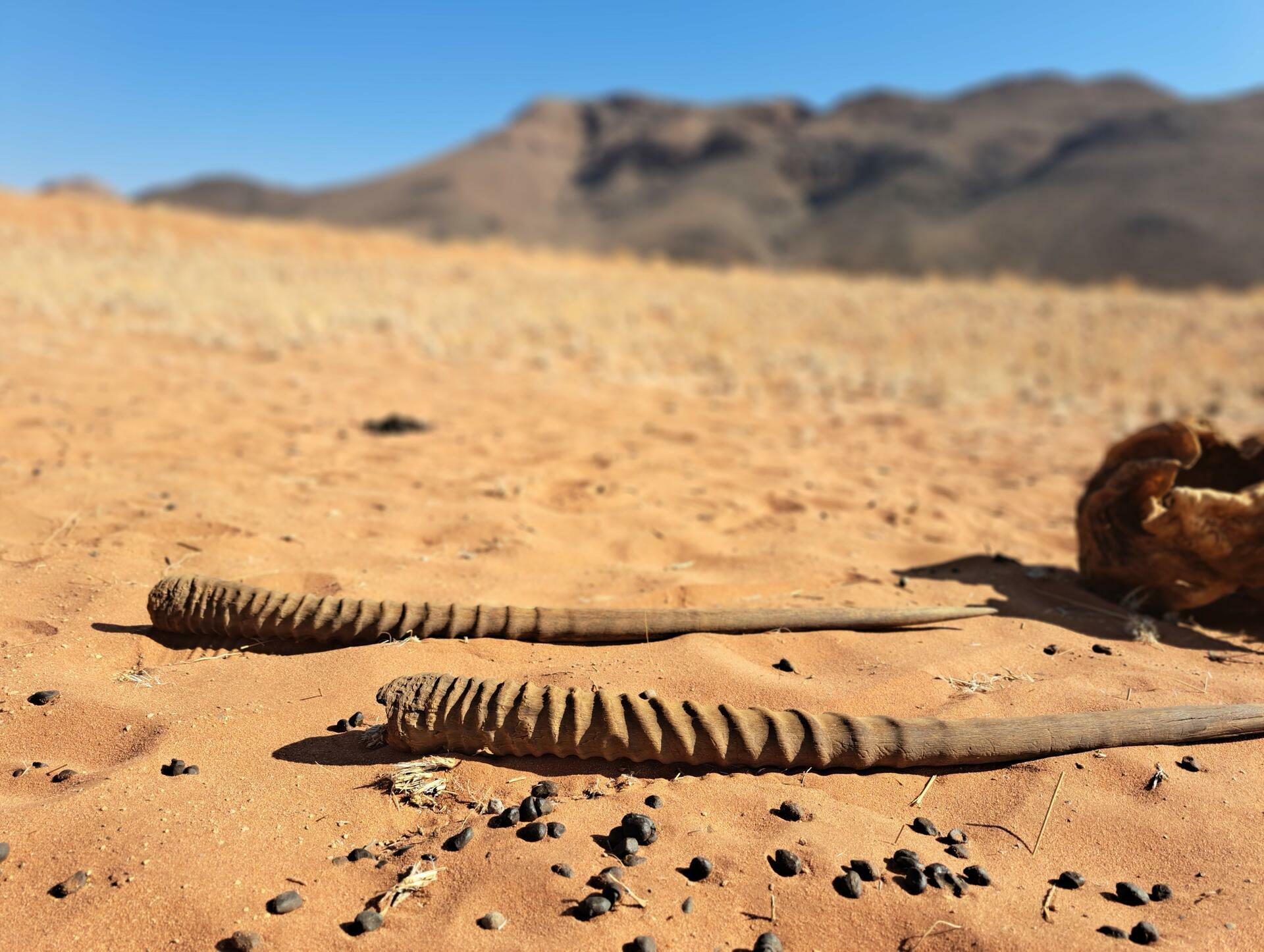 Namibia-2024@HanneHoll&aring;s (99)