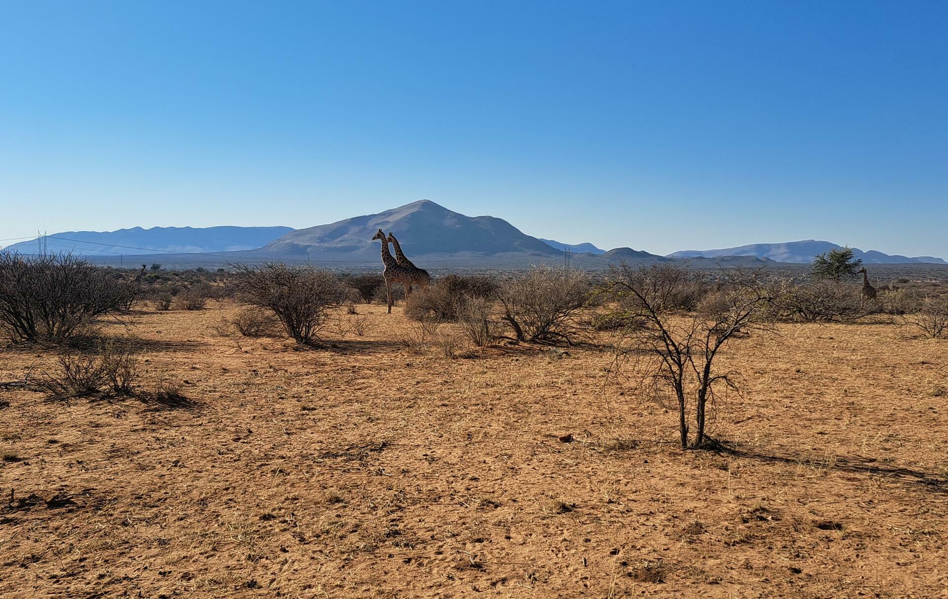 Namibia-2024@HanneHoll&aring;s (73)