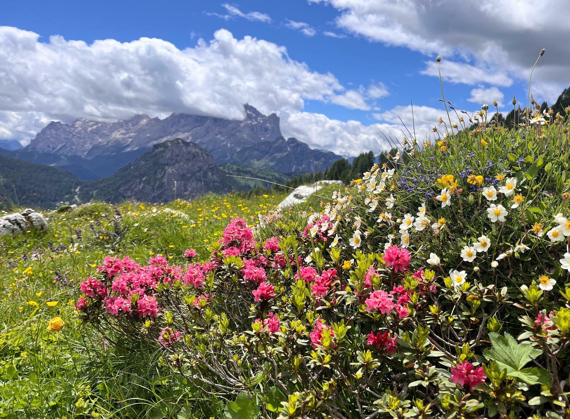 Dolomittene-2024@JohannaThornblom (16)